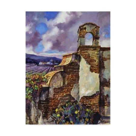 Clif Hadfield 'Mission Vineyard' Canvas Art,35x47
